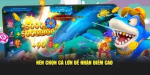 Tìm Hiểu Cách Chơi Bắn Cá Đại Dương 33Win Để Săn Thưởng Hấp Dẫn