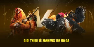 Khám Phá Cách Chơi Đá Gà WS168 Tại 33Win Chuyên Nghiệp Nhất 2025