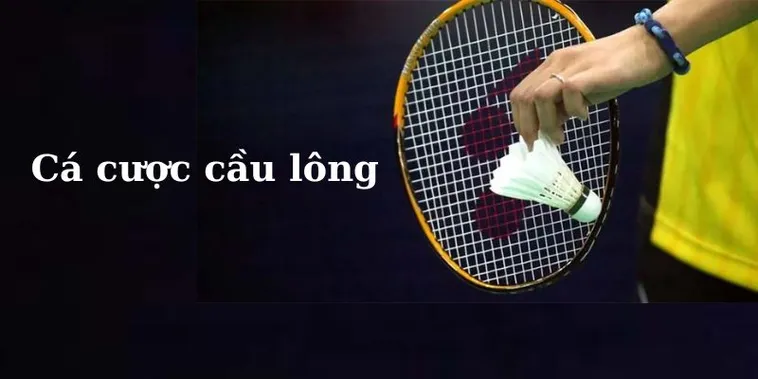Cách Chơi Cá Cược Cầu Lông Tại Nhà Cái 33Win Thành Công