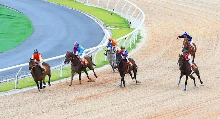Tìm Hiểu Cá Cược Đua Ngựa 33Win Với Cơ Hội Thắng Độc Đáo