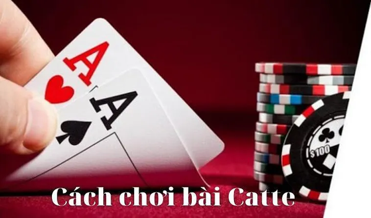 Hướng Dẫn Cách Chơi Sắc Tê Nhà Cái 33Win Chuẩn Xác Cho Tân Thủ